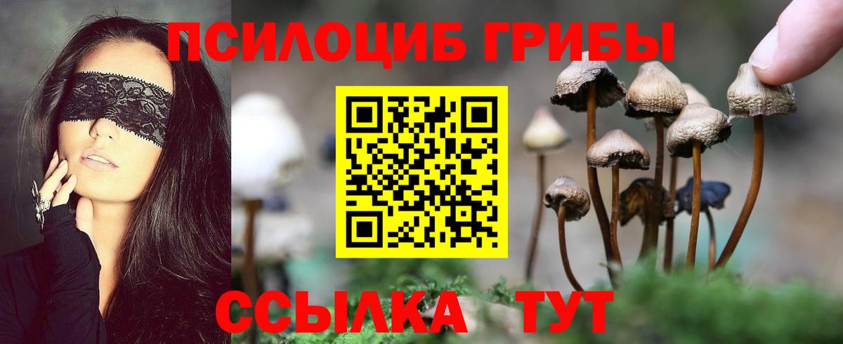 Архангельск  Псилоцибиновые грибы мухоморы  Вход с VPN 